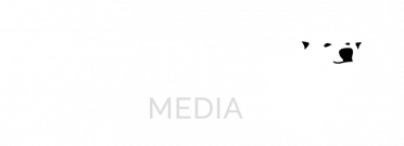 Polaris-logo_transparent-1